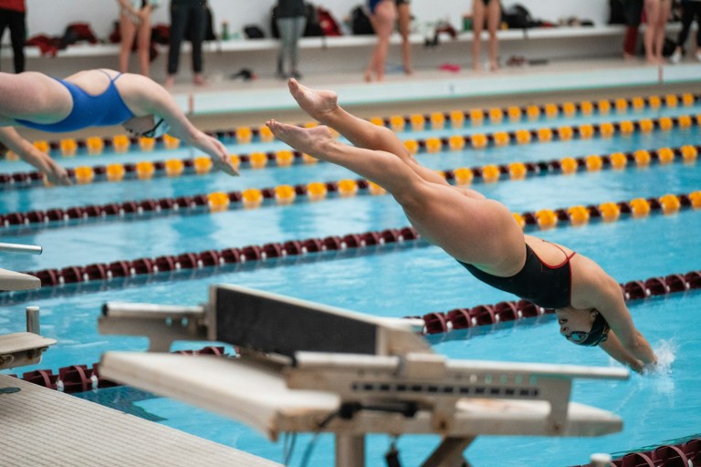 a man diving into a swimming pool while others watch.jpg
