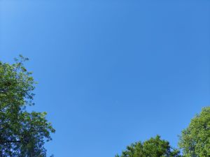 wp-17215452669972621554743813901510.jpg