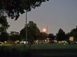 20240819_202523__.jpg
