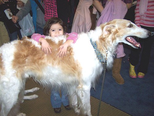 AKC Meet The Breeds.jpg
