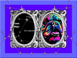 Dog Days of Summer '24.png