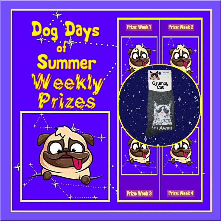 Win Grumpy Cat Socks from K.Bell__Dog Days '24__BUTTON.jpg