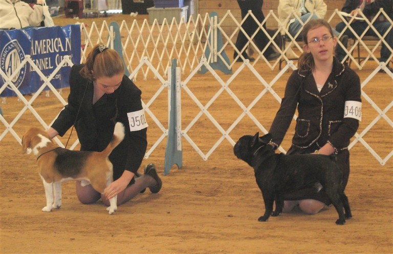 Jr Showmanship.jpg