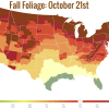 Fall Foliage- October 21st.png