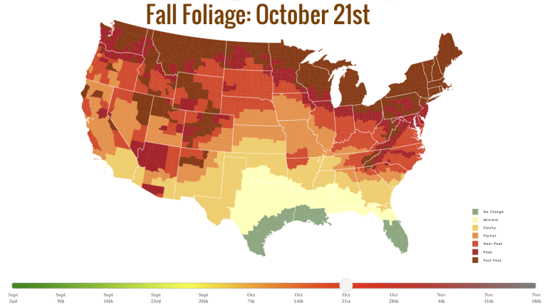 Fall Foliage- October 21st.png