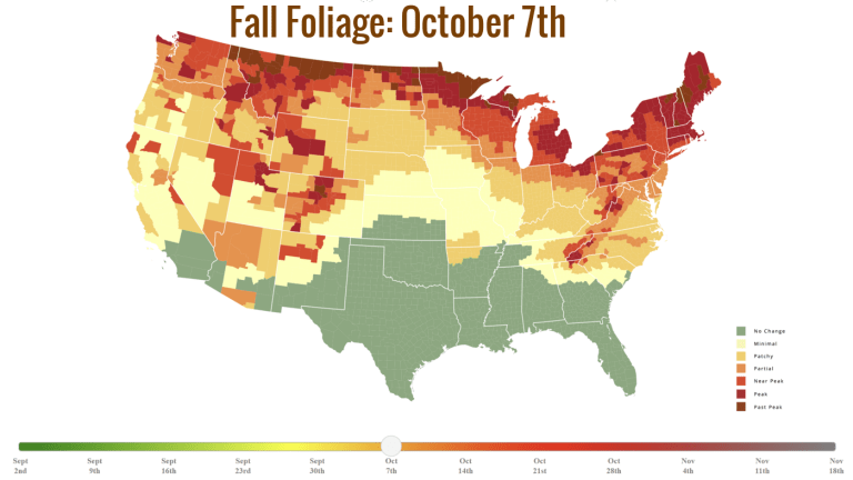 Fall Foliage- October 7th.png