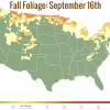 Fall Foliage- September 16th.png