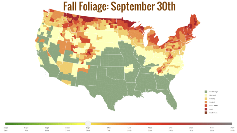 Fall Foliage- September 30th.png