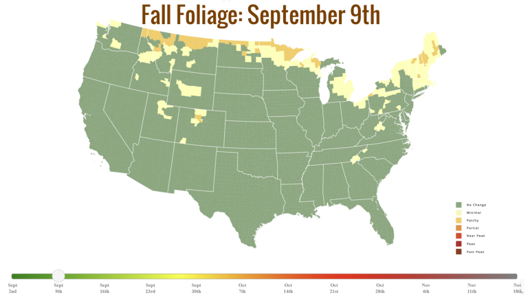 Fall Foliage- September 9th.png