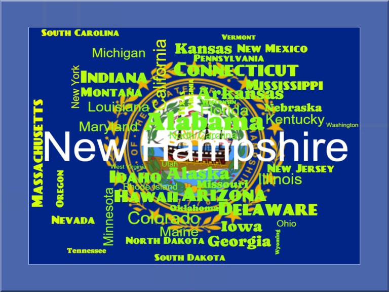 National New Hampshire Day '24.jpg