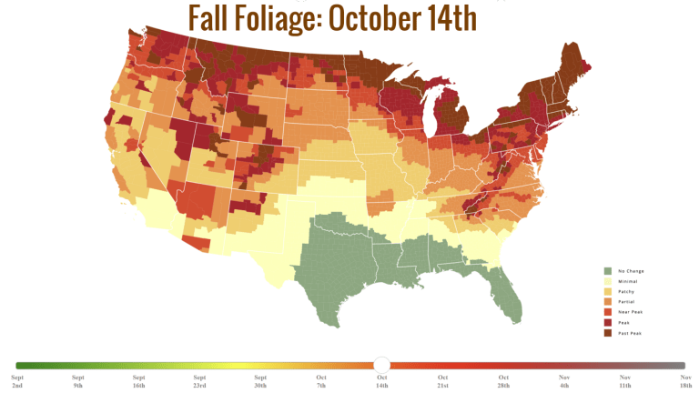 Fall Foliage- October 14th.png