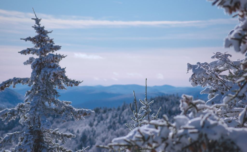 snow covered mountain during daytime.jpg