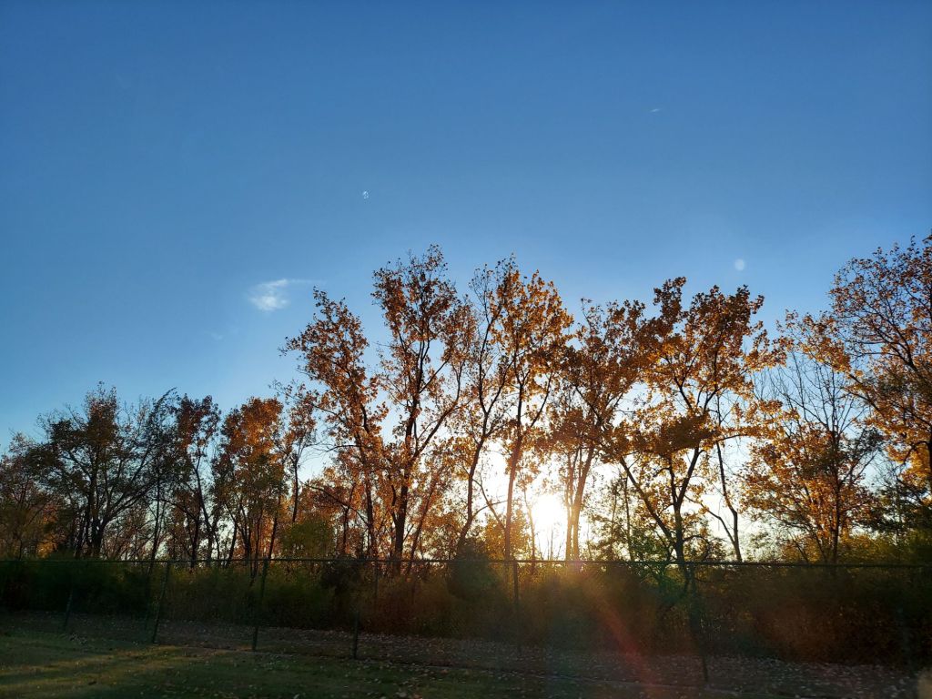 Featured Photo: The Beauty of Fall Color – Mixed Batches of Trees Near Sunset, Near Justice