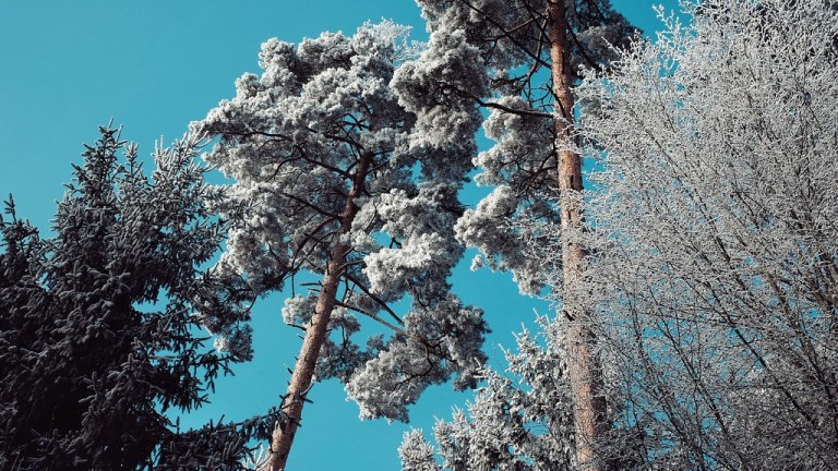 sub zero - different shades of frost.jpg