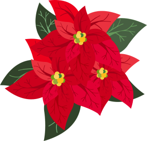graphic, poinsettia, christmas.jpg