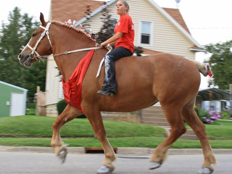 We Ride Big Horses.jpg