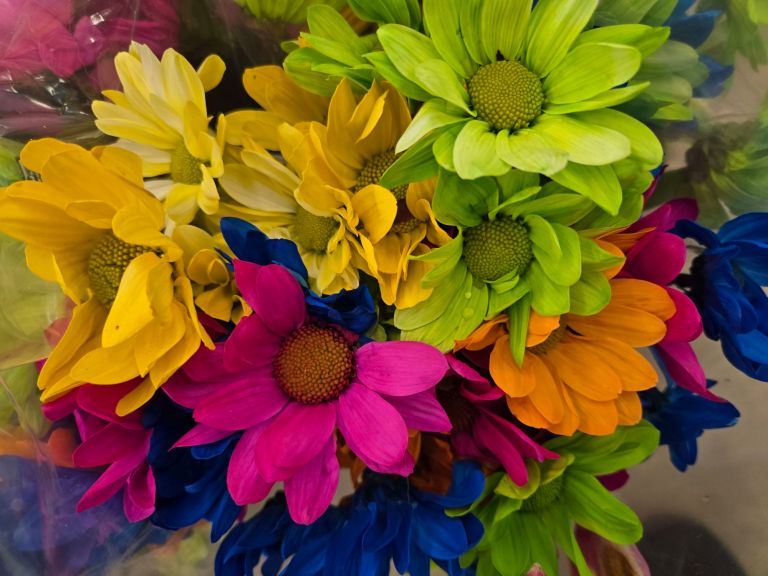 Featured Photo: New Year’s Flower of the Day ’25 – Bouquet #4 Featured Photo: New Year’s Flower of the Day ’25 – Bouquet #4