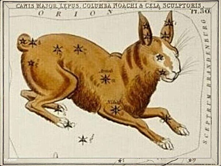 Lepus, constellation, astronomy