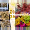New Year's Flowers Presentation '25__Montage.jpg