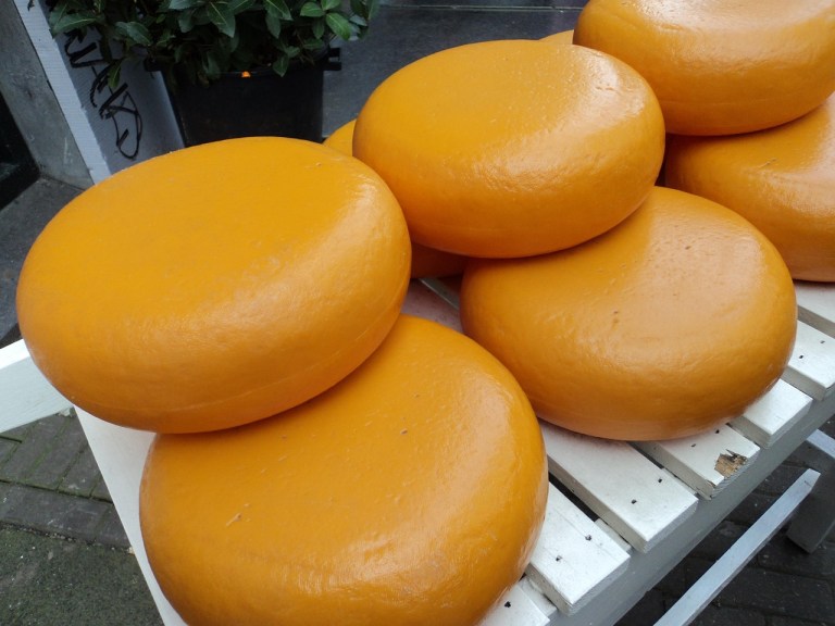 amsterdam, cheese, netherlands, cheese wheel, dairy, wheel, round, cheddar, aging, maturing, cheese wheel, cheese wheel, cheddar, cheddar, cheddar, cheddar, cheddar.jpg
