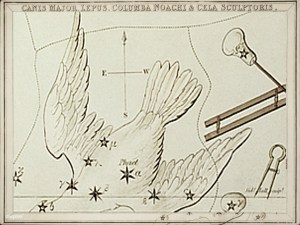 Constellations of the Month: February – Columba