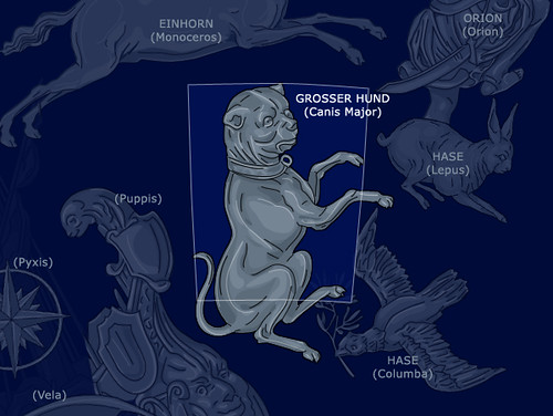Canis Major | Großer Hund.jpg