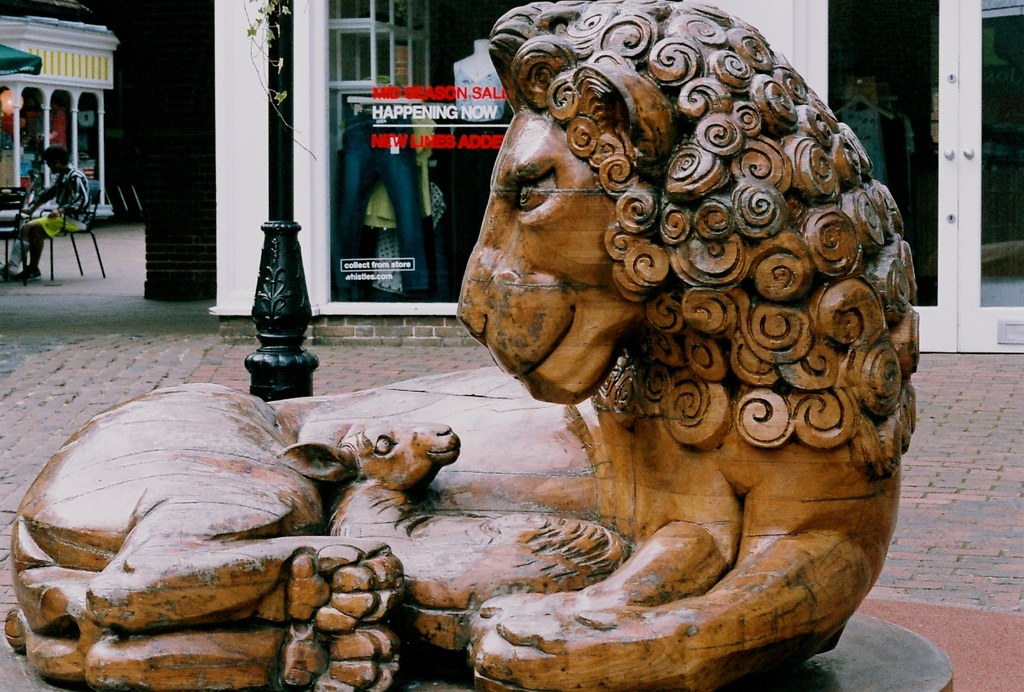 March! Comes in Like a Lion or a Lamb Day. . . – 2025