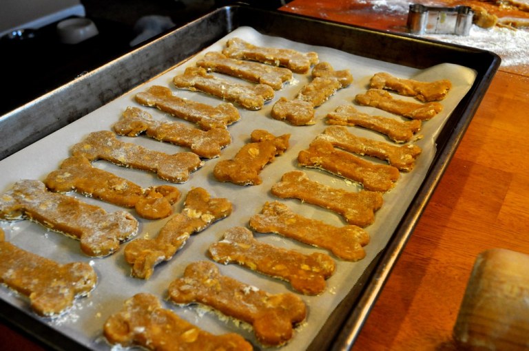 Dog Biscuit Project.jpg