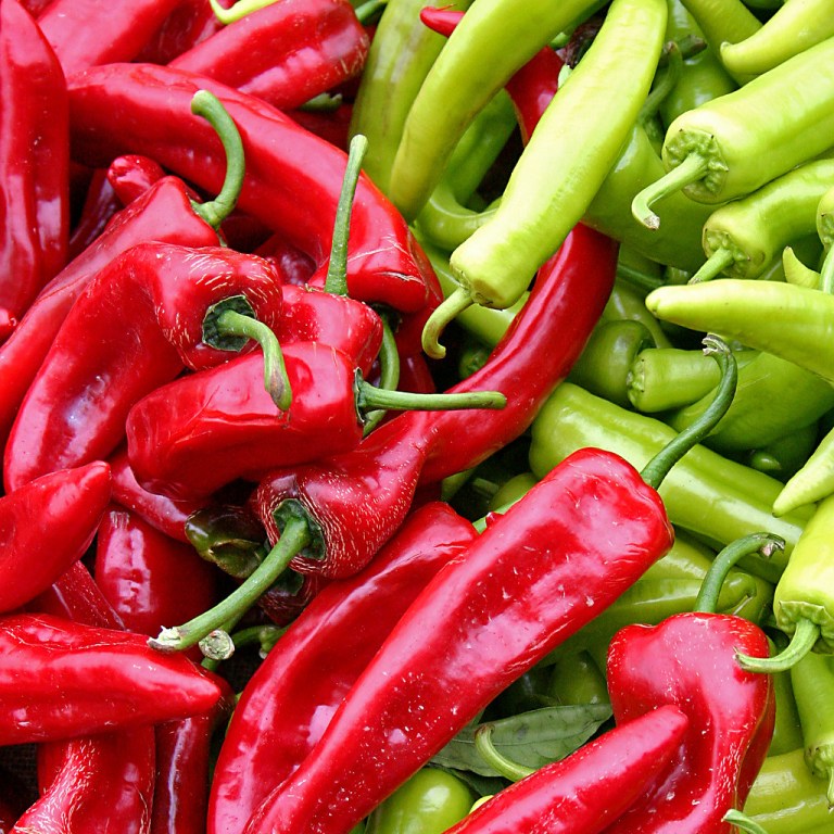 Red Green Chili Peppers.jpg
