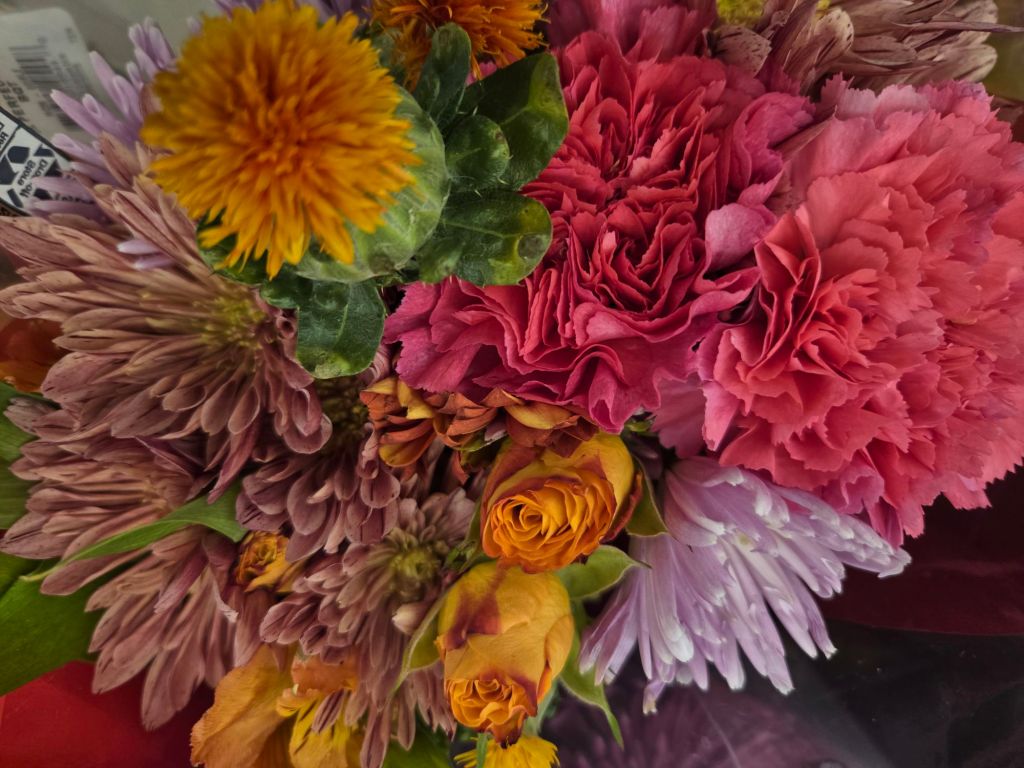 Featured Photo: Valentine’s Flower of the Day ’25 – Bouquet #3