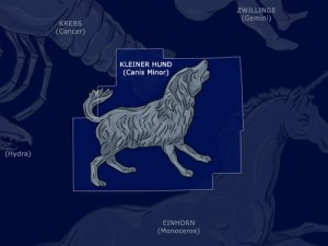 Canis Minor | Kleiner Hund.jpg
