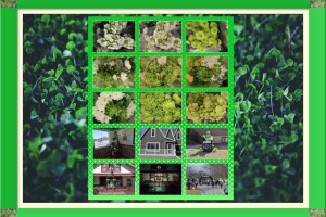 Featured Photo Montage: St. Patrick’s Day – 2025