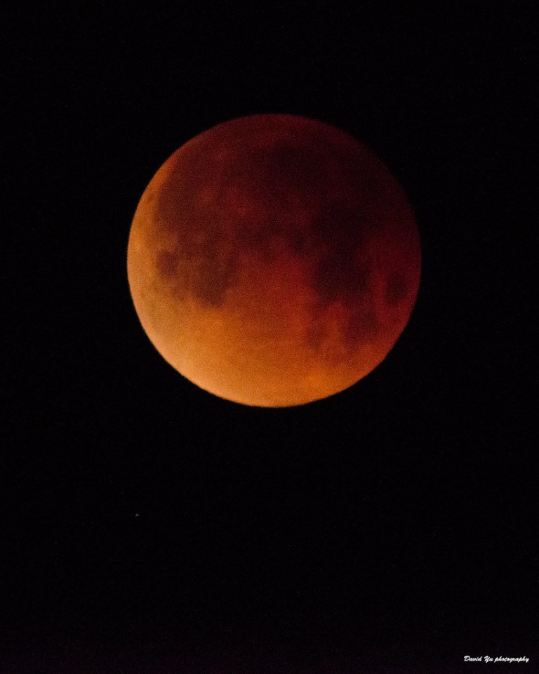 Lunar Eclipse.jpg