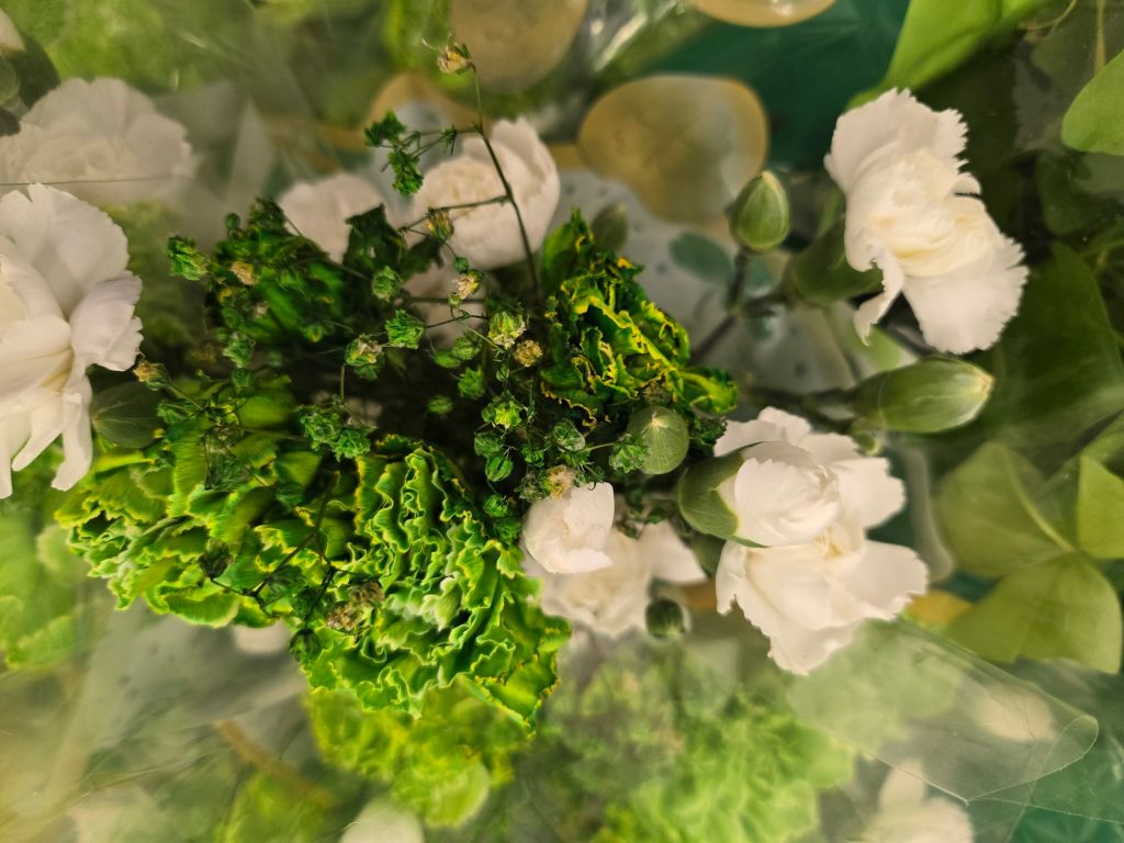 Featured Photo: St. Patrick’s Flower of the Day ’25 – Bouquet #4