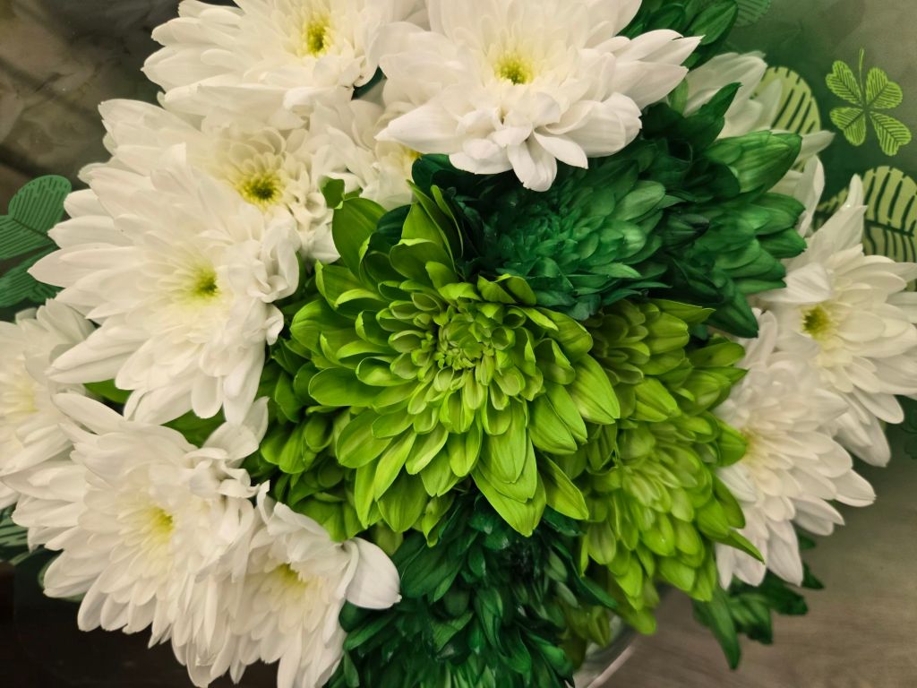 Featured Photo: St. Patrick’s Flower of the Day ’25 – Bouquet #7