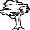 arbor, nature, drawing, icon, tree.jpg