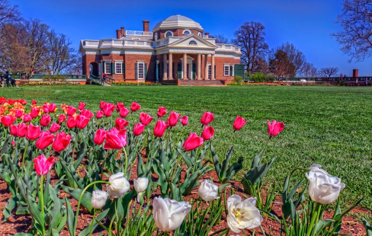Thomas Jefferson's Monticello & Tulips.jpg