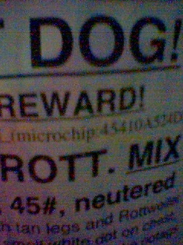Lost Dog + Microchip.jpg