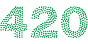 420, silhouette, nature, hemp, leaf, plant, pot, weed, typography, type, text, words, abstract, art.jpg