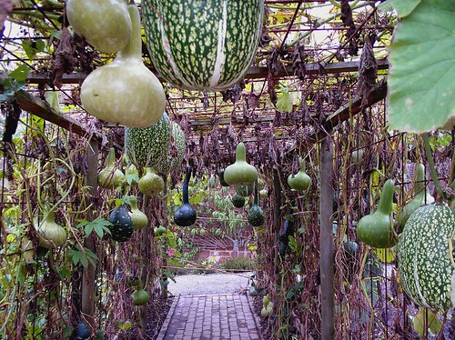 Hanging Vegetable Garden.jpg