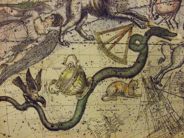 star collage (hydra).jpg