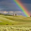 rainbow near green grass ranges.jpg