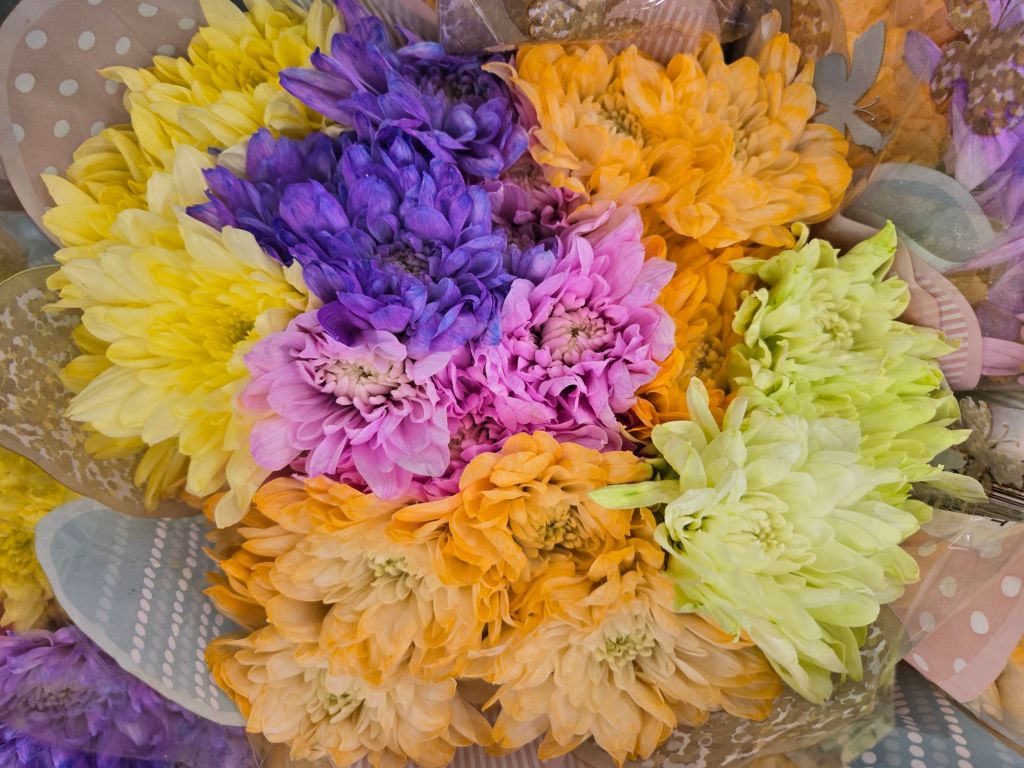 Featured Photo: Easter Flower of the Day ’25 – Bouquet #1