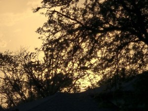 20250516_194254_.jpg