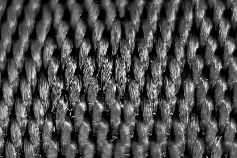 Macro Mondays: Cloth/Textile - Seatbelt (Explored: 2017/03/27).jpg