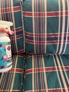 Scentsy Prize, Holiday Gift Guide '24__IMG_5028.jpg