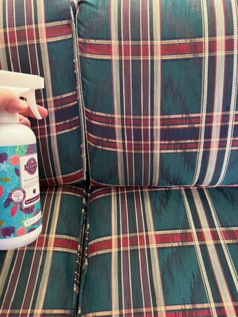 Scentsy Prize, Holiday Gift Guide '24__IMG_5028.jpg