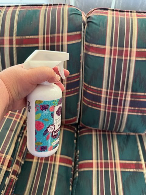 Scentsy Prize, Holiday Gift Guide '24__IMG_5029.jpg