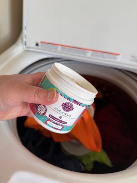 Scentsy Prize, Holiday Gift Guide '24__IMG_5033.jpg