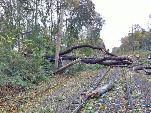 Downed trees and wires on LIRR tracks.jpg